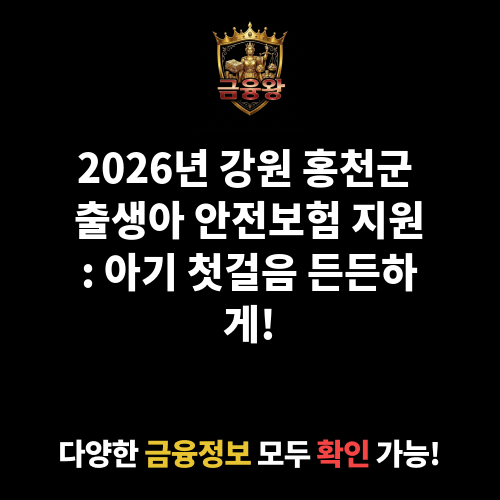 출생아 안전보험 지원