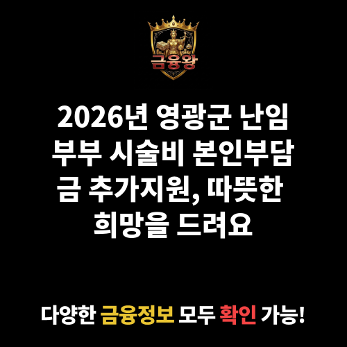 난임부부 시술비 본인부담금 추가지원