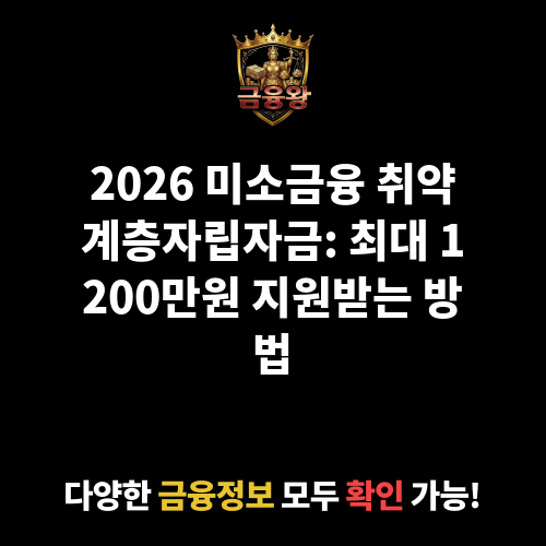 미소금융 취약계층자립자금
