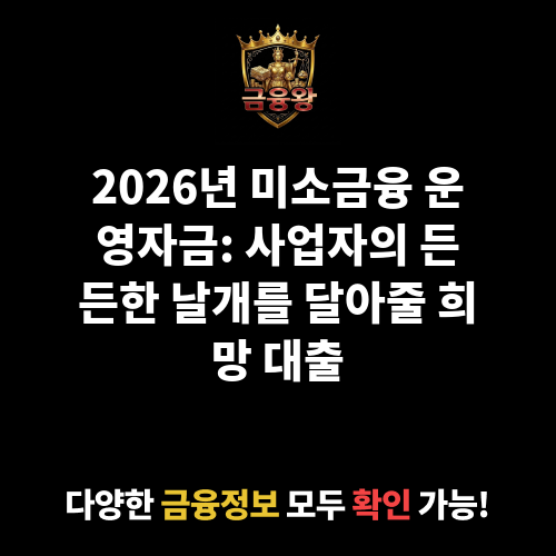 미소금융 운영자금