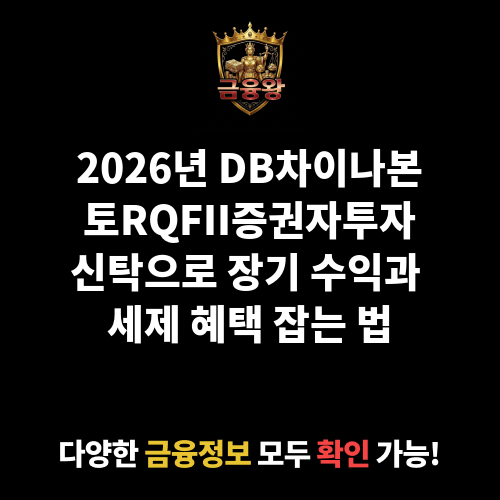 DB차이나본토RQFII증권자투자신탁(H)[주식]ClassC-P (DB자산운용주식회사)