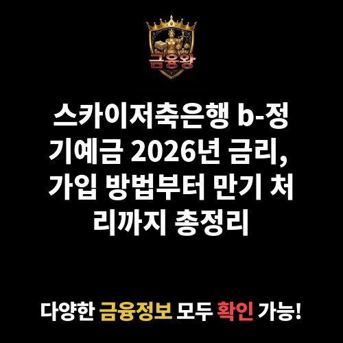 b-정기예금 (스카이저축은행)