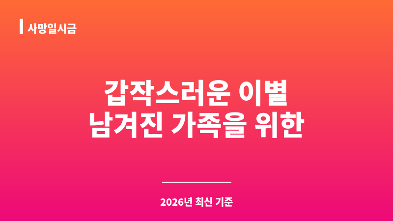 사망일시금 보조 이미지 1