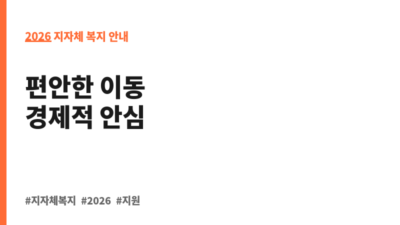 천안시 임산부 교통비 지원사업 보조 이미지 2