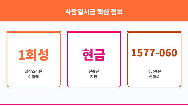 사망일시금 보조 이미지 3