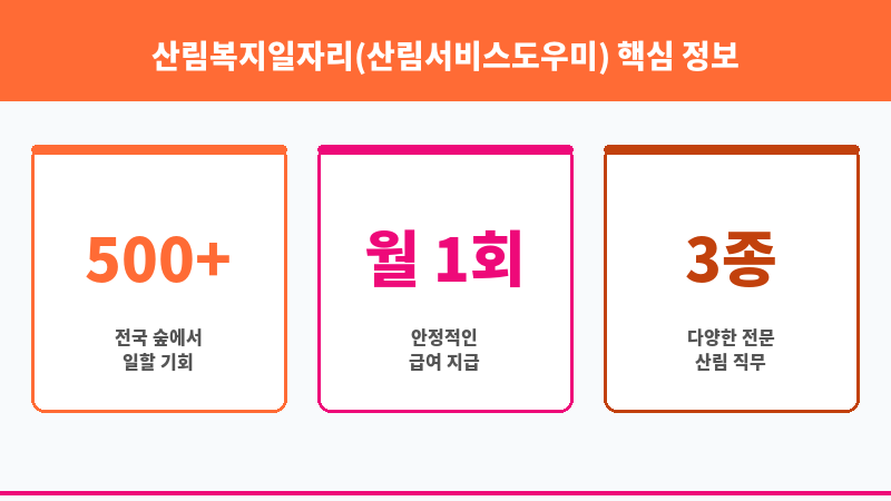 산림복지일자리(산림서비스도우미) 보조 이미지 3