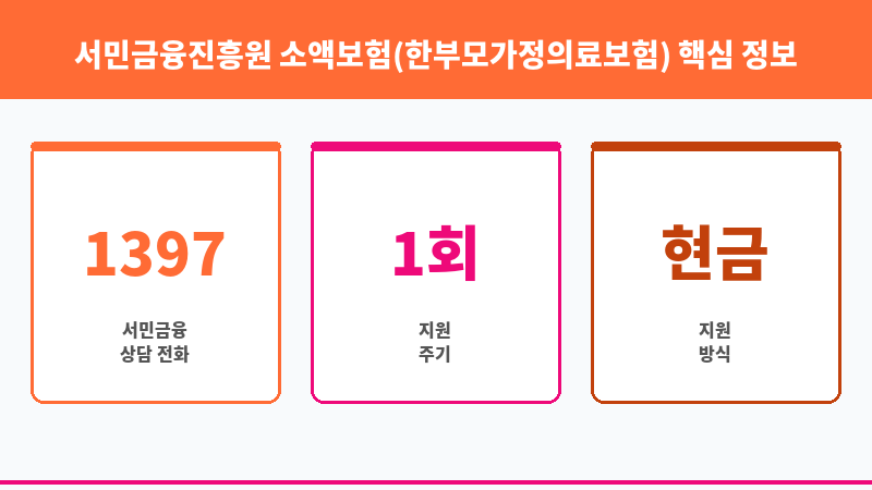 서민금융진흥원 소액보험(한부모가정의료보험) 보조 이미지 3