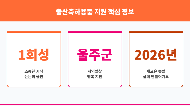 출산축하용품 지원 보조 이미지 3