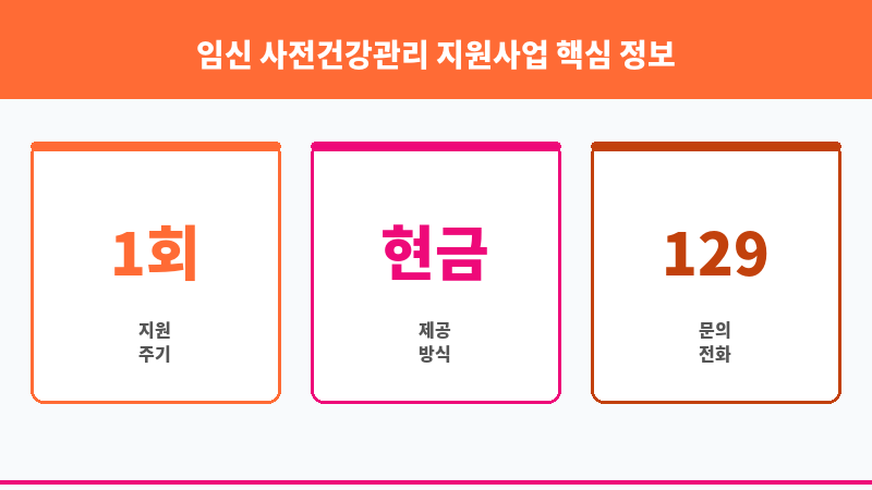 임신 사전건강관리 지원사업 보조 이미지 3