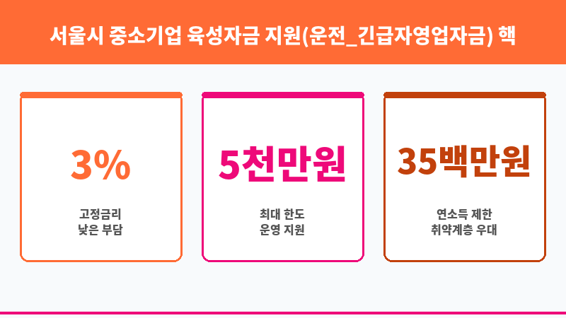 서울시 중소기업 육성자금 지원(운전_긴급자영업자금) 보조 이미지 3