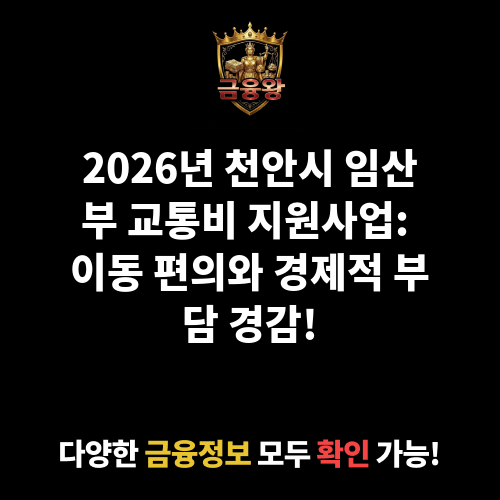 천안시 임산부 교통비 지원사업
