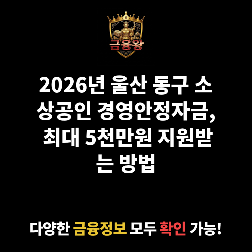 울산광역시 동구 소상공인 경영안정자금