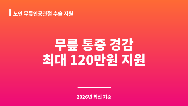 노인 무릎인공관절 수술 지원 보조 이미지 1