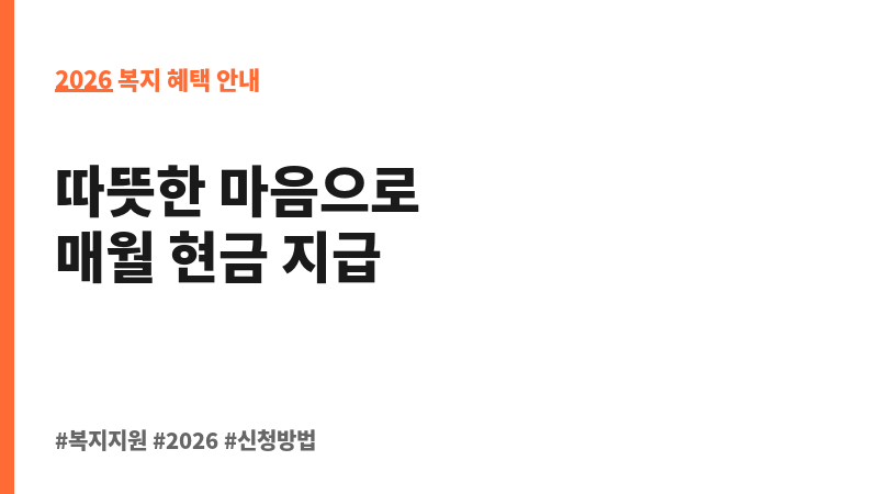 장애아동수당 보조 이미지 2