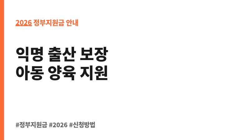 위기임신 및 보호출산 지원 보조 이미지 2