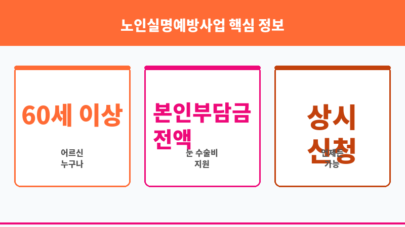 노인실명예방사업 보조 이미지 3