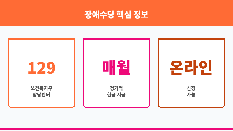 장애수당 보조 이미지 3