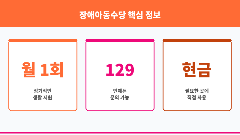 장애아동수당 보조 이미지 3