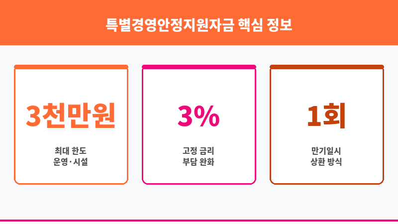특별경영안정지원자금 보조 이미지 3