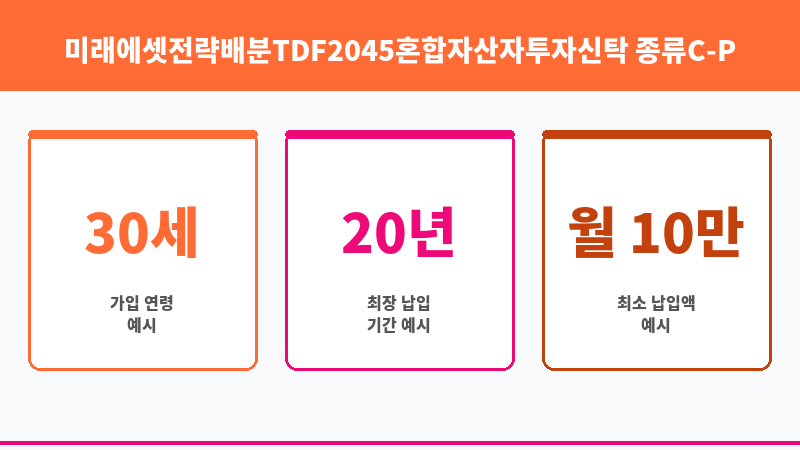 미래에셋전략배분TDF2045혼합자산자투자신탁 종류C-P (미래에셋자산운용) 보조 이미지 3