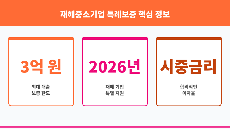 재해중소기업 특례보증 보조 이미지 3