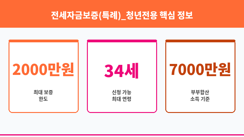 전세자금보증(특례)_청년전용 보조 이미지 3