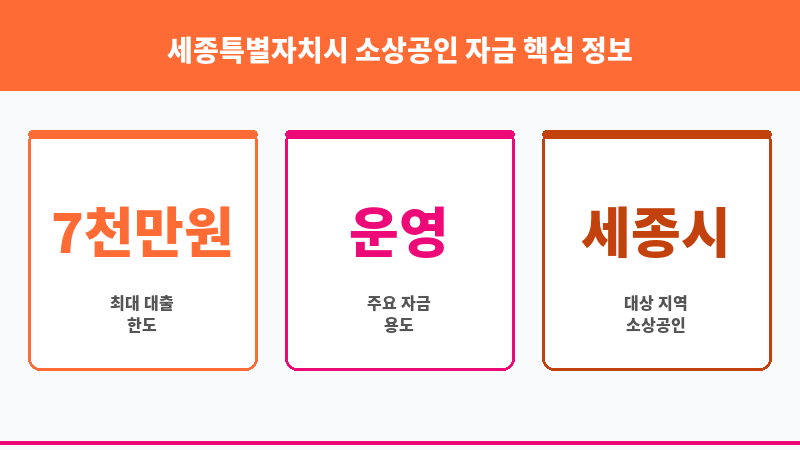 세종특별자치시 소상공인 자금 보조 이미지 3