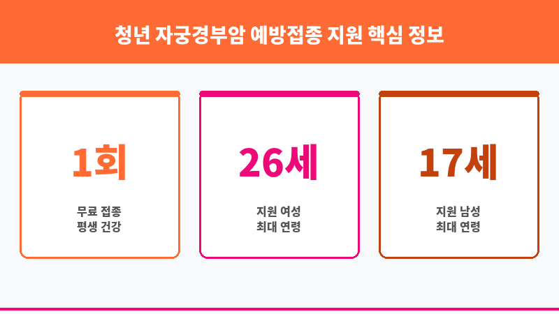 청년 자궁경부암 예방접종 지원 보조 이미지 3