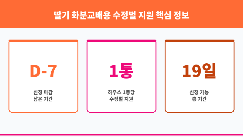 딸기 화분교배용 수정벌 지원 보조 이미지 3