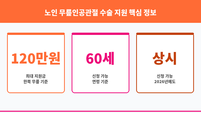 노인 무릎인공관절 수술 지원 보조 이미지 3