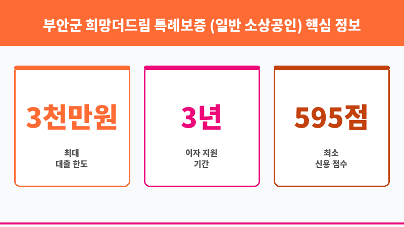 부안군 희망더드림 특례보증 (일반 소상공인) 보조 이미지 3