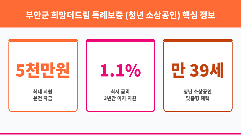 부안군 희망더드림 특례보증 (청년 소상공인) 보조 이미지 3