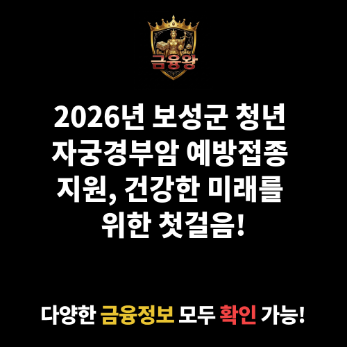 청년 자궁경부암 예방접종 지원