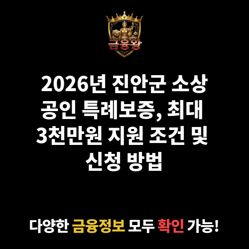 진안군 소상공인 특례보증