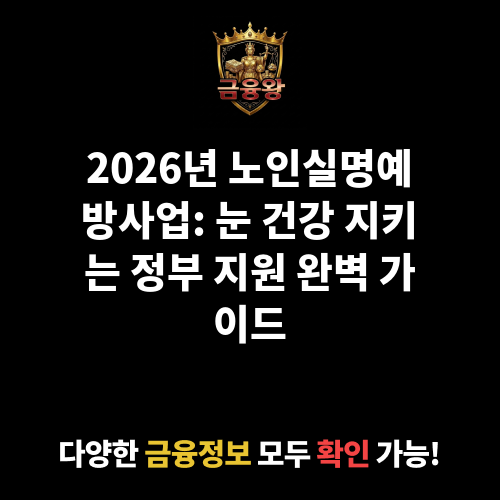 노인실명예방사업