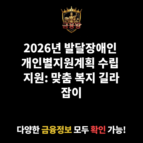 발달장애인 개인별지원계획 수립 지원