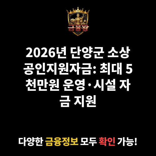 단양군 소상공인지원자금