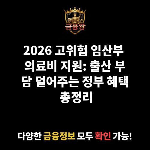 고위험 임산부 의료비 지원