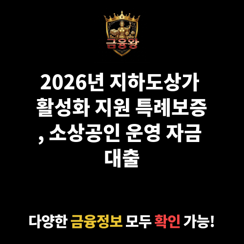 지하도상가 활성화 지원 특례보증