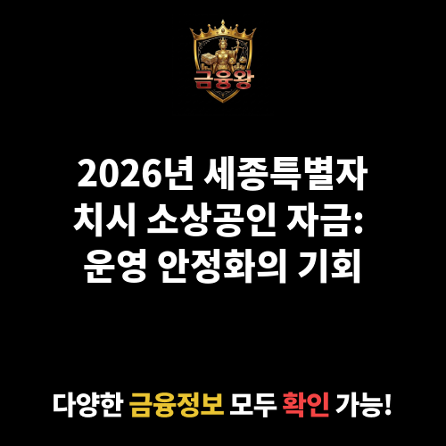 세종특별자치시 소상공인 자금