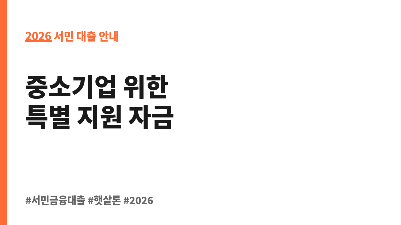 소기업특별지원자금 보조 이미지 2