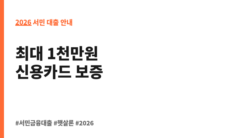 소상공인 비즈플러스 카드보증 보조 이미지 2