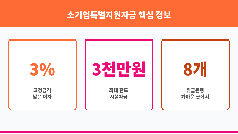 소기업특별지원자금 보조 이미지 3
