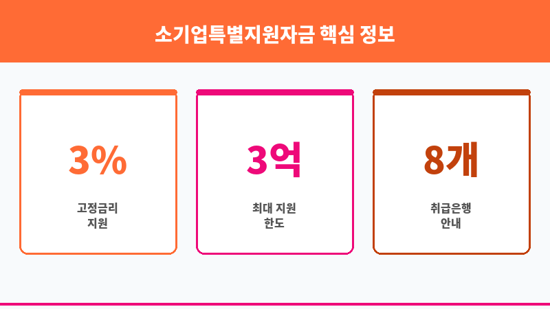 소기업특별지원자금 보조 이미지 3