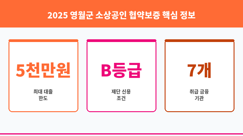 2025 영월군 소상공인 협약보증 보조 이미지 3