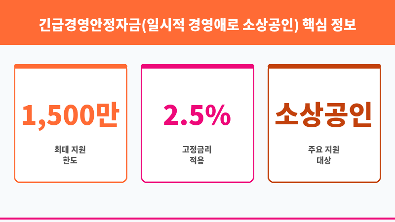 긴급경영안정자금(일시적 경영애로 소상공인) 보조 이미지 3