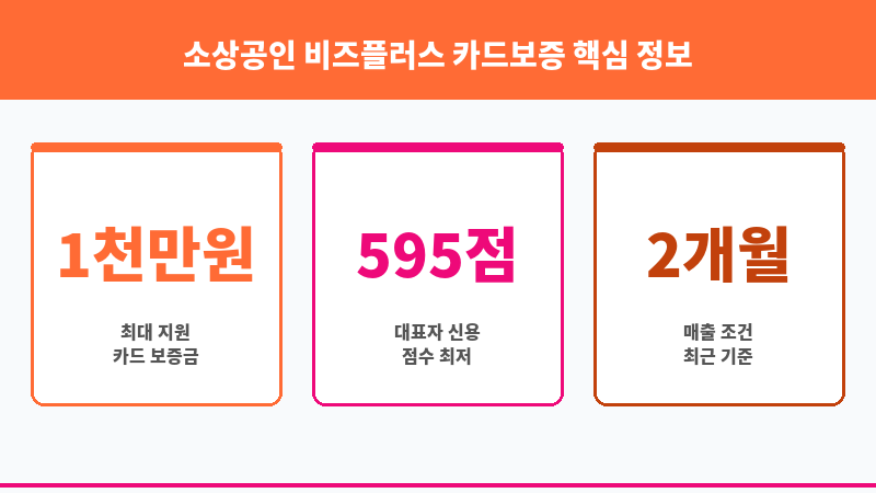 소상공인 비즈플러스 카드보증 보조 이미지 3