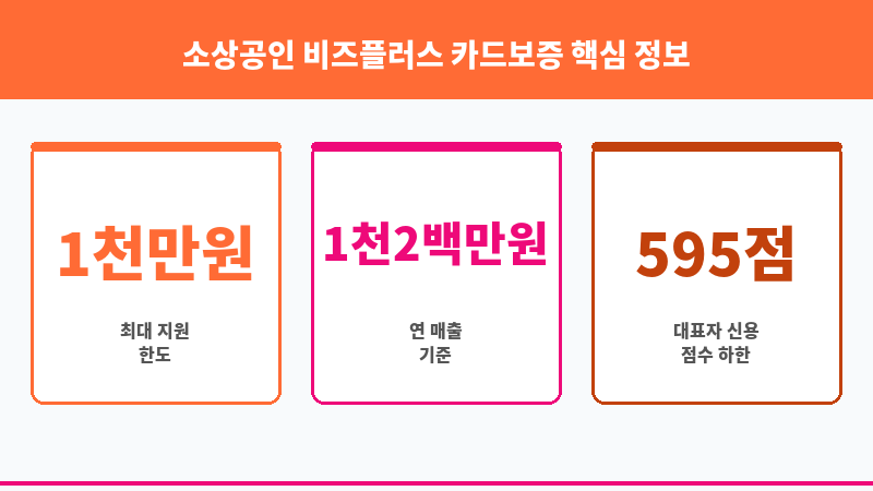 소상공인 비즈플러스 카드보증 보조 이미지 3