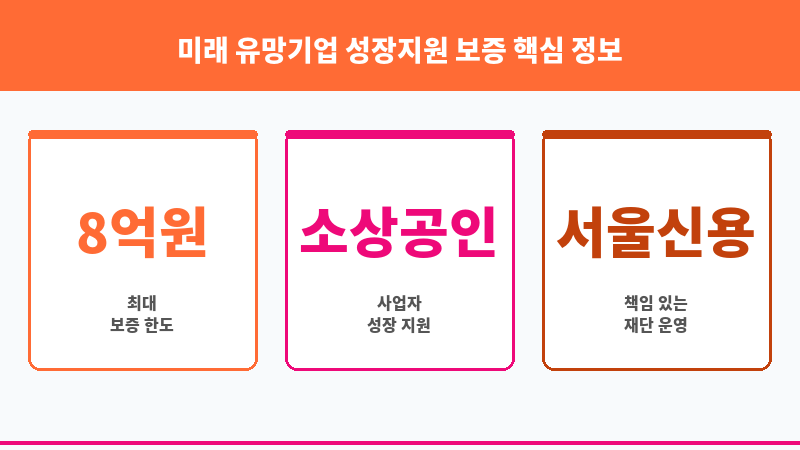 미래 유망기업 성장지원 보증 보조 이미지 3