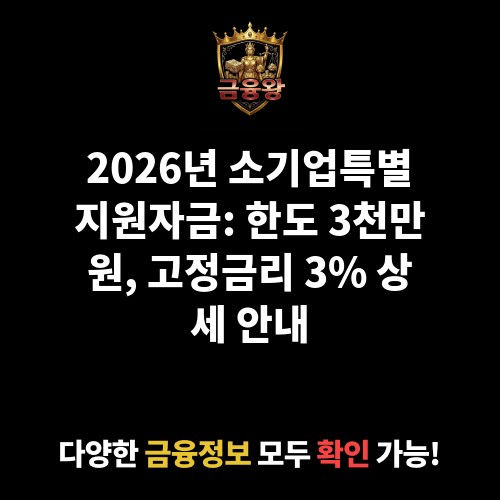 소기업특별지원자금